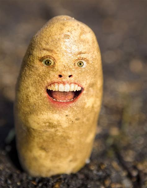 weird shutterstock images.